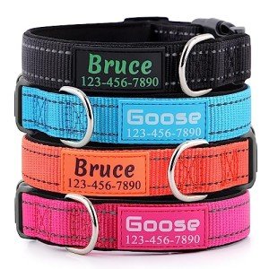 Customized Neoprene Padded Dog Collar with Reflective Nylon