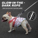 20 FT Retractable Dog Leash for Small/Medium Pets