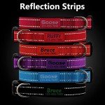 Customized Neoprene Padded Dog Collar with Reflective Nylon