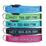 Customized Dog Collar with Name and Phone Number
