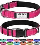Custom Engraved Reflective Nylon Dog Collar for Large Dogs