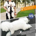 Pawaboo Adjustable Pet Carrier Backpack for Small Pets