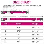 Custom Engraved Reflective Nylon Dog Collar for Large Dogs