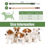 20 Puppy Collars for Small Puppies, Nylon Breakaway