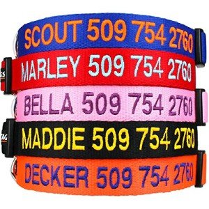 Personalized Custom Embroidered Dog Collar with ID and Phone