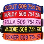 Personalized Custom Embroidered Dog Collar with ID and Phone