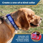 Personalized Custom Embroidered Dog Collar with ID and Phone