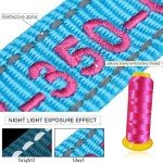 Customized Dog Collar with Name and Phone Number