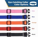 Personalized Custom Embroidered Dog Collar with ID and Phone