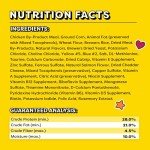 1 Pack TEMPTATIONS Cat Treats - Blissful Catnip Flavor