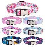 Custom Floral Dog Collar with Engraved ID Tag