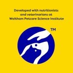 1 Pack TEMPTATIONS Cat Treats - Blissful Catnip Flavor