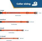 Personalized Custom Embroidered Dog Collar with ID and Phone