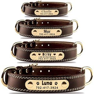 Custom Leather Dog Collar with Engravable Nameplate - Durable