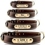 Custom Leather Dog Collar with Engravable Nameplate - Durable