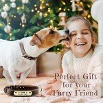 Custom Leather Dog Collar with Engravable Nameplate - Durable