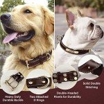Custom Leather Dog Collar with Engravable Nameplate - Durable