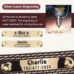Custom Leather Dog Collar with Engravable Nameplate - Durable