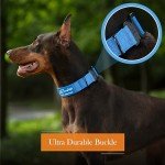 Personalized Heavy Duty Tactical Dog Collar with Name