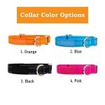 Custom Reflective Dog Collars with Personalized Name & Phone