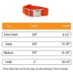 Custom Reflective Dog Collars with Personalized Name & Phone