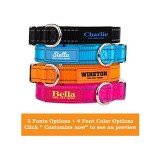 Custom Reflective Dog Collars with Personalized Name & Phone
