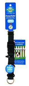 PetSafe KeepSafe Break-Away Collar for Small Dogs