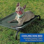 Coolaroo Gale Pacific Elevated Dog Bed - Large, Green