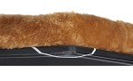 Cinnamon 18-Inch Pet Bed with Bolster for Small Breeds