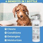Organic Dog Shampoo Set for Goldendoodles & Poodles