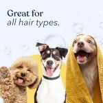 Natural Dog Shampoo & Conditioner for Sensitive Skin - 16oz