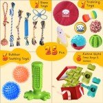 25 Pack Puppy Chew Toys - Teething, Toothbrush, Treat Balls, Squeaky