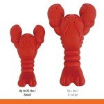 NYLABONE Lobster Power Chew Dog Toy - Filet Mignon Flavor