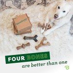 USA-made Benebone 4-Pack Dog Chew Toys for Small Breeds
