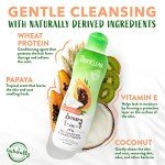 TropiClean Papaya & Coconut Dog Shampoo and Conditioner
