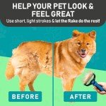 Maxpower Planet Double Sided Pet Grooming Brush - Blue