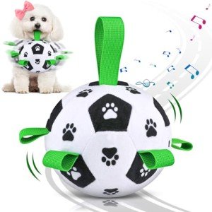 QDAN Interactive Dog Soccer Ball with Straps