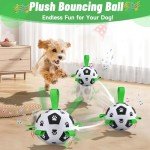 QDAN Interactive Dog Soccer Ball with Straps