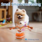 Sofolor Motion Activated Interactive Dog Ball Toy