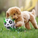 QDAN Interactive Dog Soccer Ball with Straps