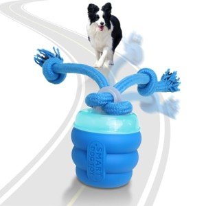 Interactive Squeaky Dog Toy for Daily Training