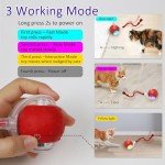 Interactive Chirping Red Cat Toy Ball for Indoor Cats