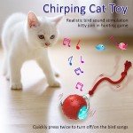 Interactive Chirping Red Cat Toy Ball for Indoor Cats