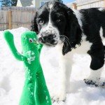 Gumby Plush Dog Toy in Green, 9 inch
