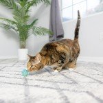 Ethical Products SPOT Classic Cat Toy Variety Pack