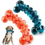 Large Dog Chew Toys: Tough 2-Pack for Aggressive Chewers