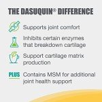 Joint Health Supplement for Large Dogs - Nutramax Dasuquin