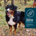 Hip & Joint Supplement for Dogs, Chicken Flavored