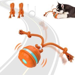 Sofolor Motion Activated Interactive Dog Ball Toy