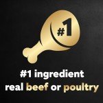 Cesar Wet Dog Food Variety Pack (24)